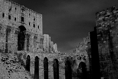 Aleppo Castle 5