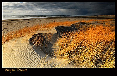 Dunes Oregon