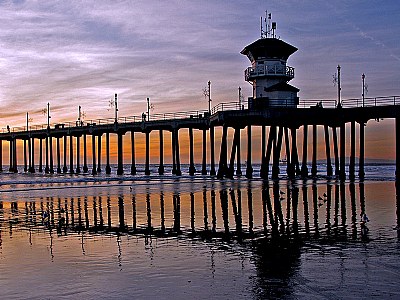 Gulls at sunset