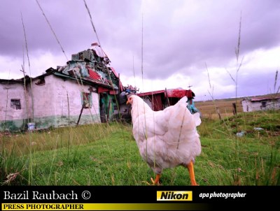 Rural Transkei