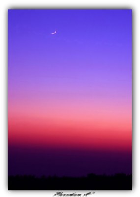 Crescent Moon.. 