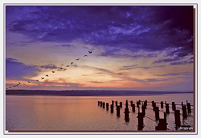 Voyage to Night Blue