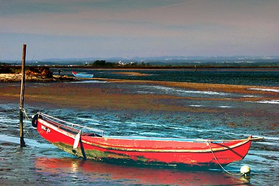 Red and blue boats