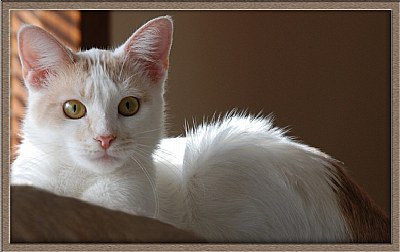 Molly