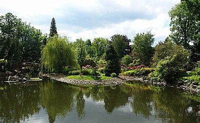 Japanese Garden