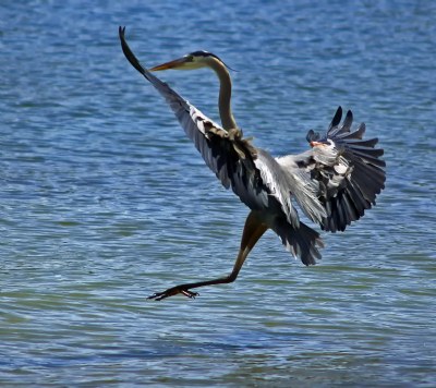 Wet Landing