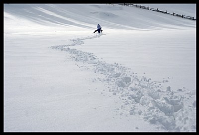 Walk