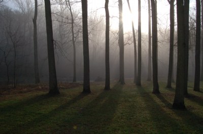 Morning Mist at Rock Creek Park