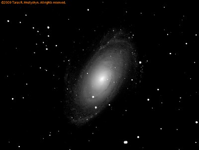 Bode's Galaxy (M81)