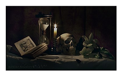 vanitas