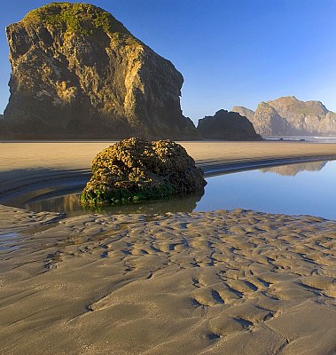 Ripples in the Sand