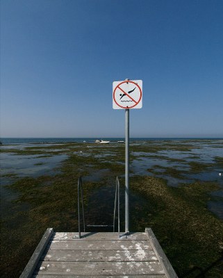 No Diving...