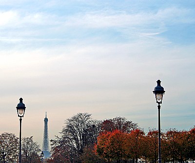 Autumnal Paris 143