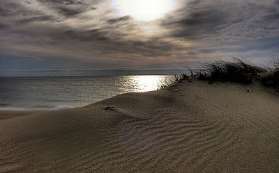 HerringCoveBeach1