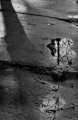 puddle #5