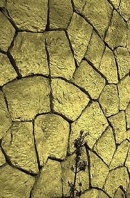 Wall