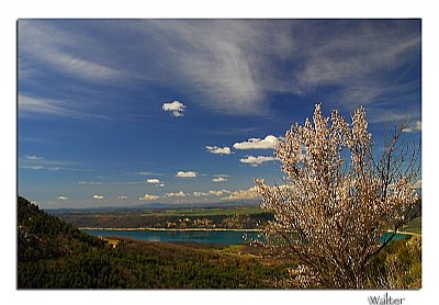 Spring in Provence