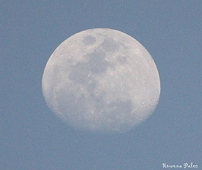 midday moon