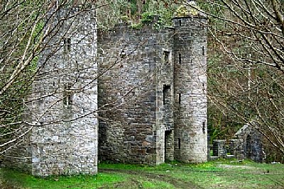 Carey's Castle