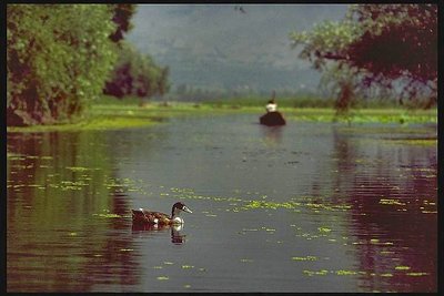 kashmir - peace on the lake
