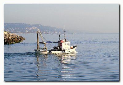 Little fishing-boat