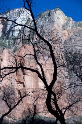 Zion National Park, Utah