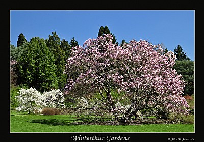 Spring at Winterthur (d3398)
