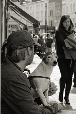  Observers