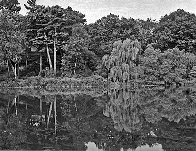 Grenadier Pond