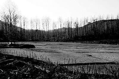 COUNTRY