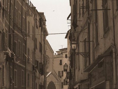 Old Houses ( Sepia Toned )