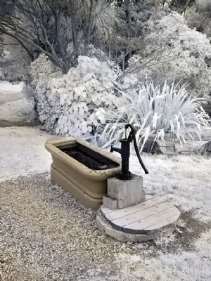 Bath in Nature