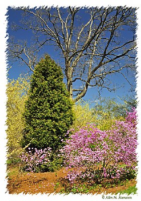 Springtime at Winterthur (d3384)