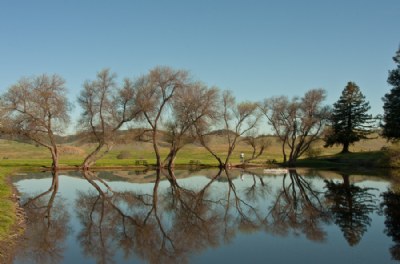 On The Pond