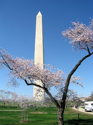 Washington Memorial