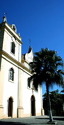 Church & Palm Tree