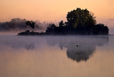 Foggy Flight