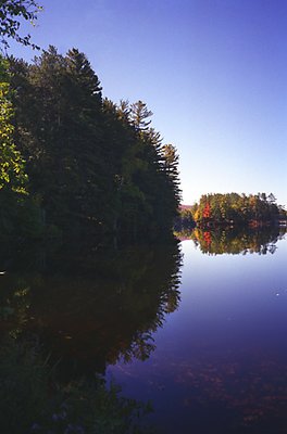 Long Lake Reflection