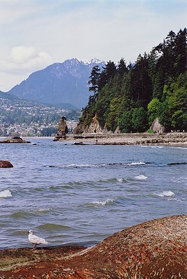 Stanley Park