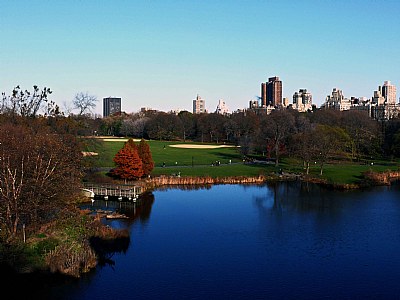 Central Park , NY