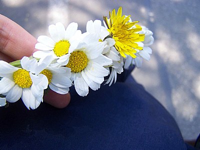 my flowers.........:D