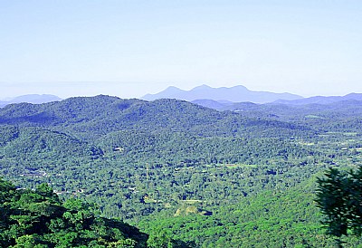 Paraná Landscape