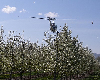 Helicopter Spray