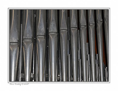 Organ pipes