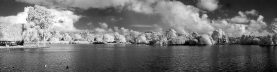 IR Panorama