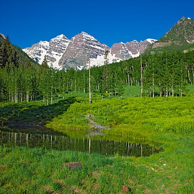 Alpine Meadow 2