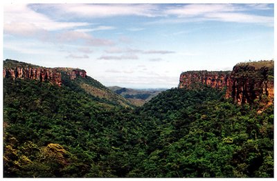 BridgeṀs Valley