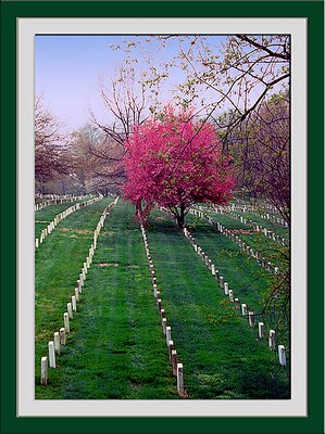 Arlington Cemetery