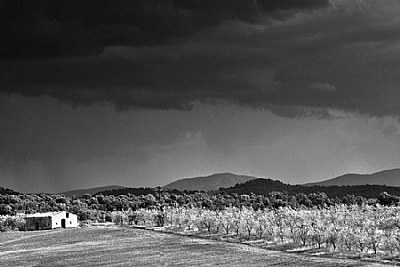 paesaggio toscano#3