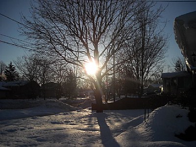 Snowy morning 